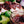 Laden Sie das Bild in den Galerie-Viewer, Hölla Bölla Chutney, Chöl